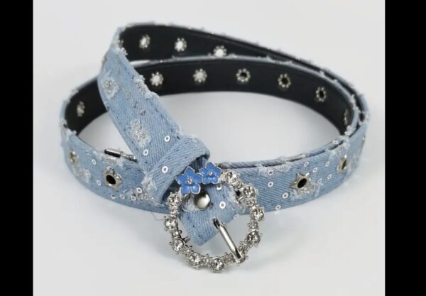 Y2K Denim Belts - Image 2